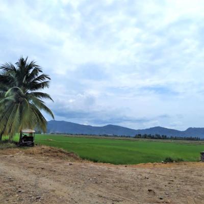 VENTA DE TERRENO DE 60 HAS. EN SAN MARTÍN